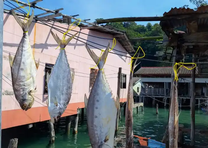 Thailand in 3B: Bangkok, beaches and bungalows - Koh Kood at liberty - Photo of the day