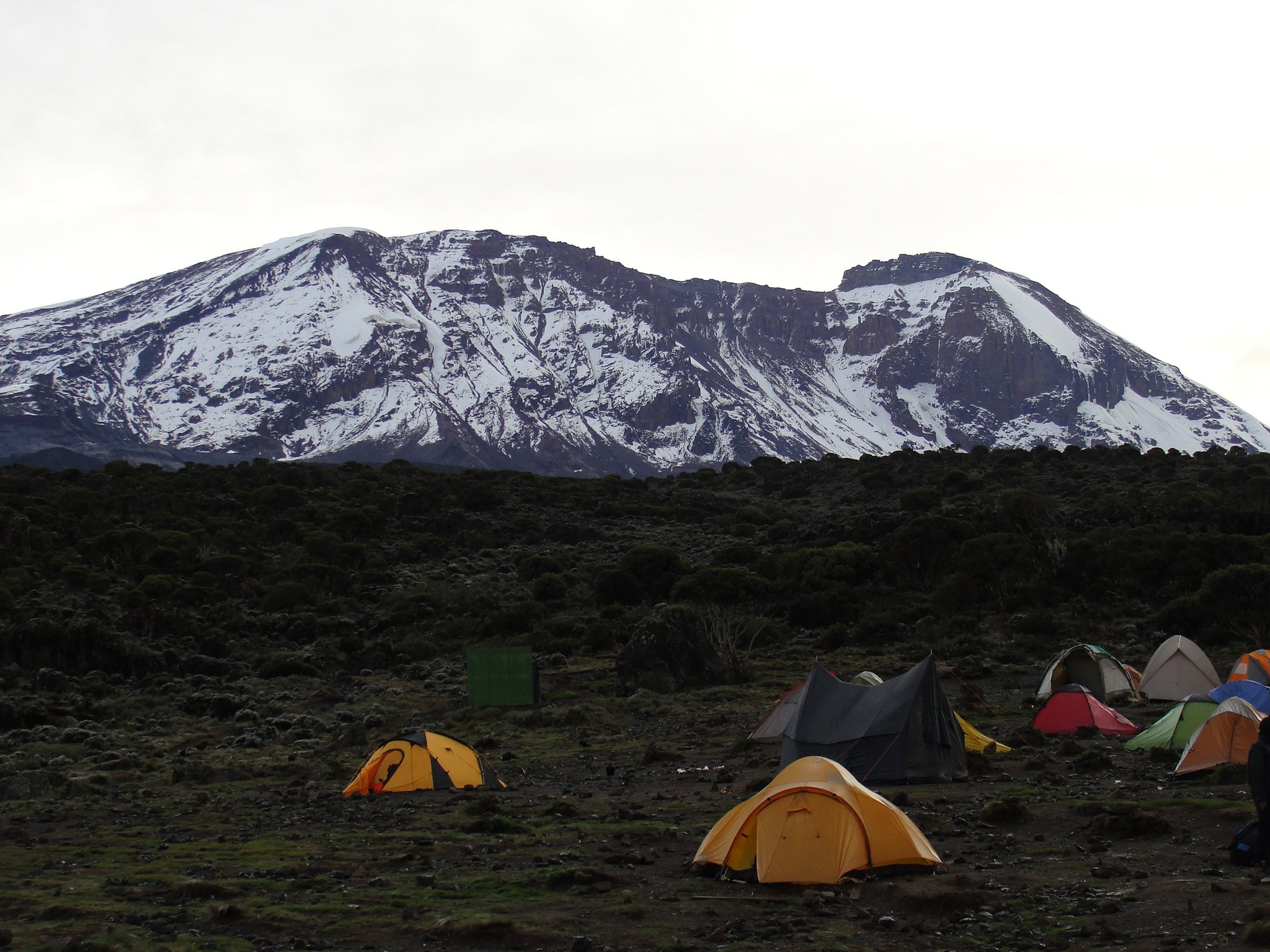 7 Days Mount Kilimanjaro Climbing Machame Route - Arusha – Machame Gate (1,790m) – Machame Camp (3,010m) - Photo of the day