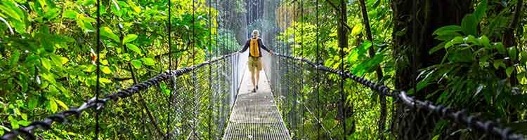Voyage d'aventure au Costa Rica - Monteverde : ponts suspendus et canopy. Routes équestres. - Monteverde : Ponts suspendus et Canopy. Routes équestres
