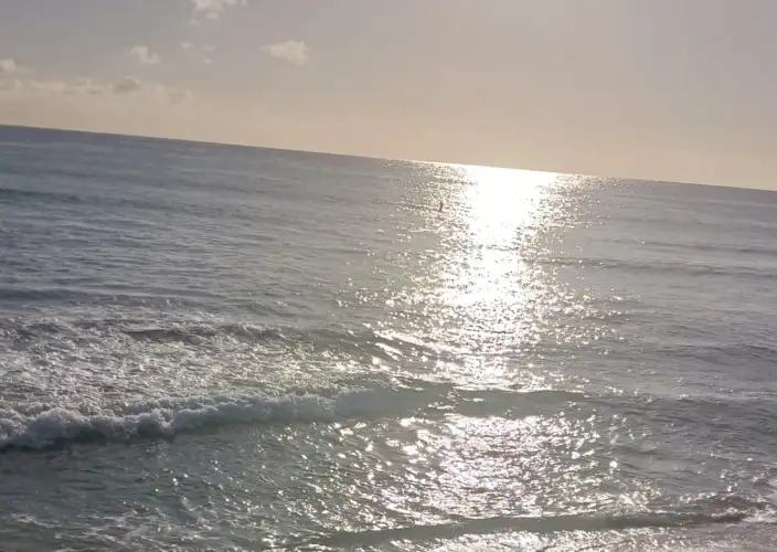 Authentischer Aufenthalt auf La Réunion - Von Cilaos zu den Lagunen des Westens - Tagesfoto