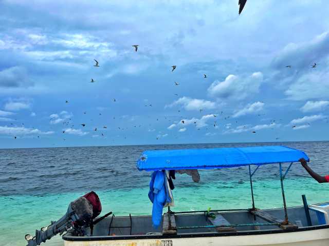 Circuit Safari du Nord de 11 jours et circuit de milieu de gamme à Zanzibar