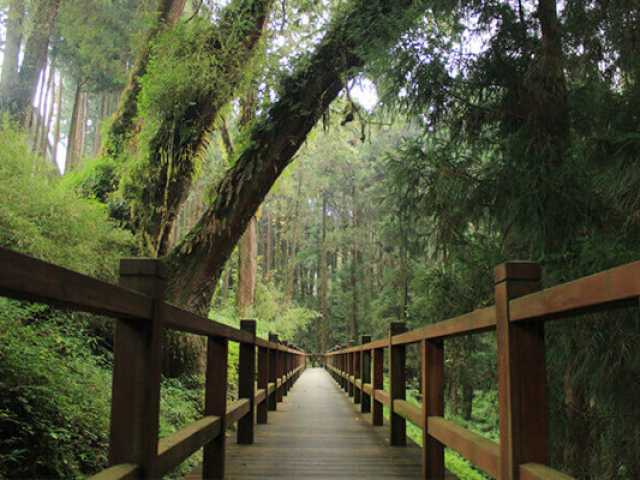 Descubra as Maravilhas de Taiwan: Paisagens Cênicas e Tesouros Culturais