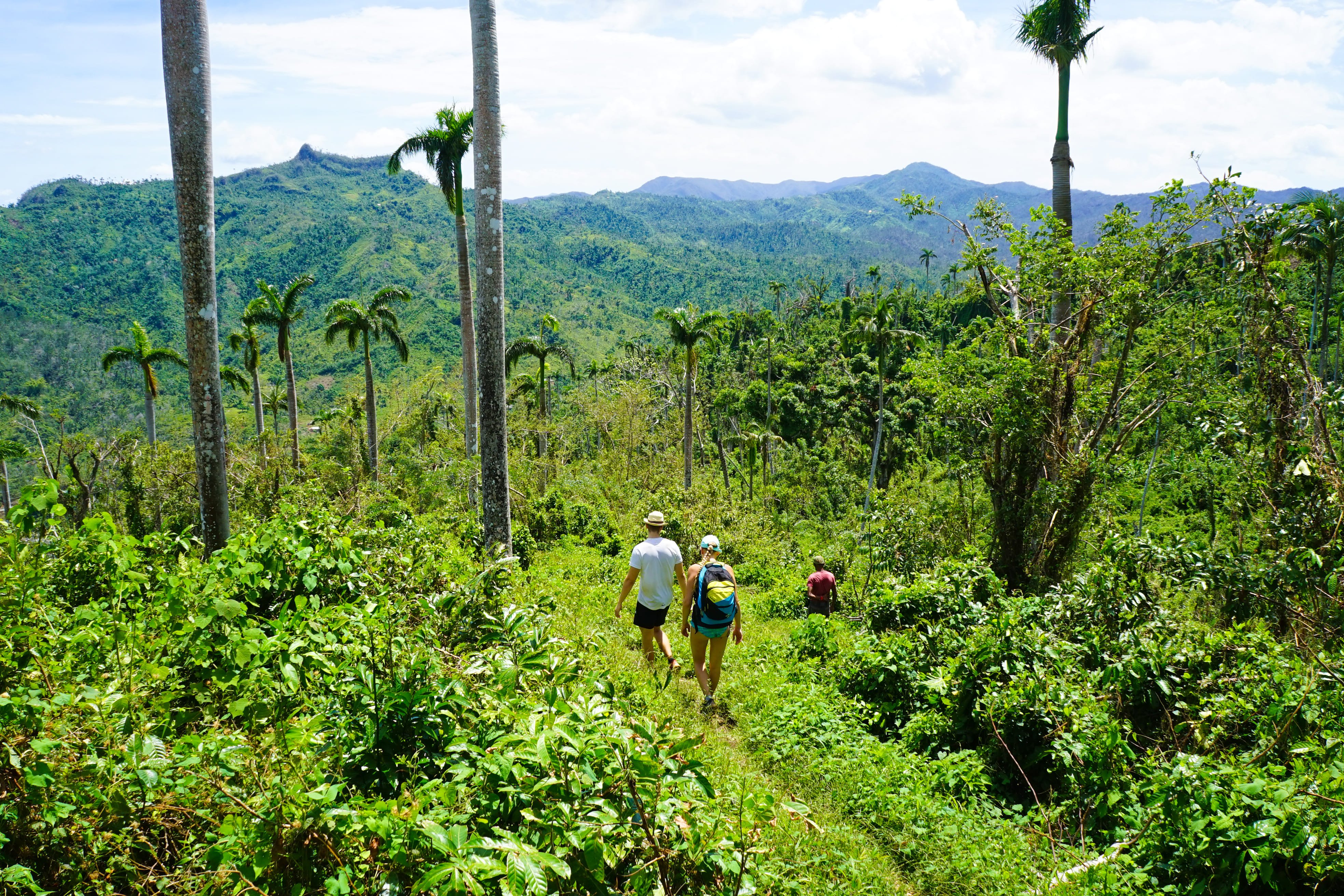L'Orient de Cuba - La montagne El Yunque - La montagne El Yunque