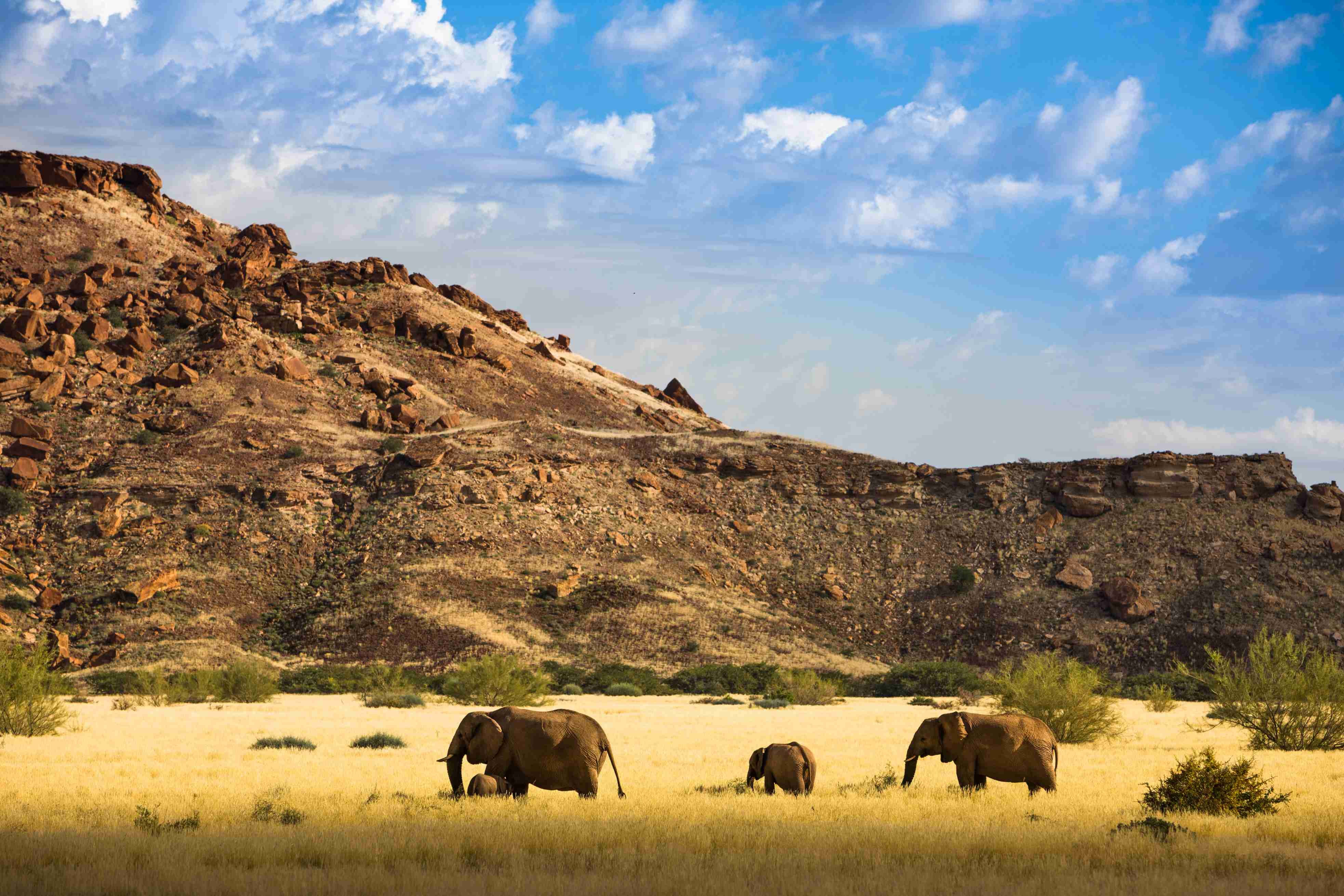 La Namibie : du désert du Namib aux chutes Epupa - Rencontre avec les Himbas - Rencontre avec les Himbas