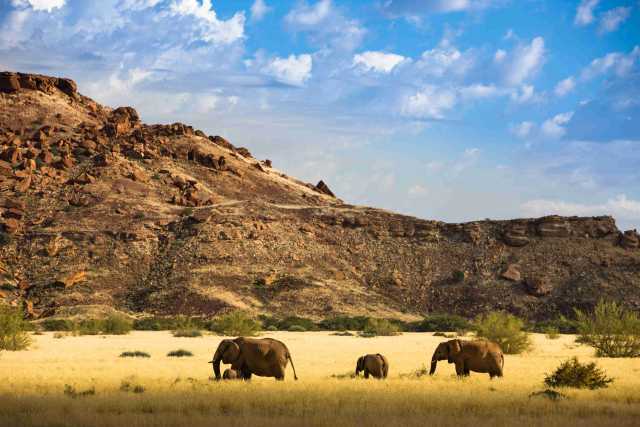 Namibia: del desierto de Namib a las cataratas Epupa