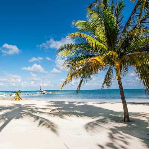 Descubre Belice: Playas tropicales y naturaleza salvaje
