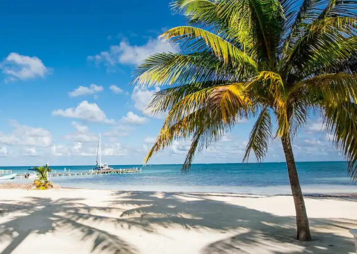 Entdecken Sie Belize: Tropische Strände & Wilde Natur - Nach Caye Caulker - Foto del día