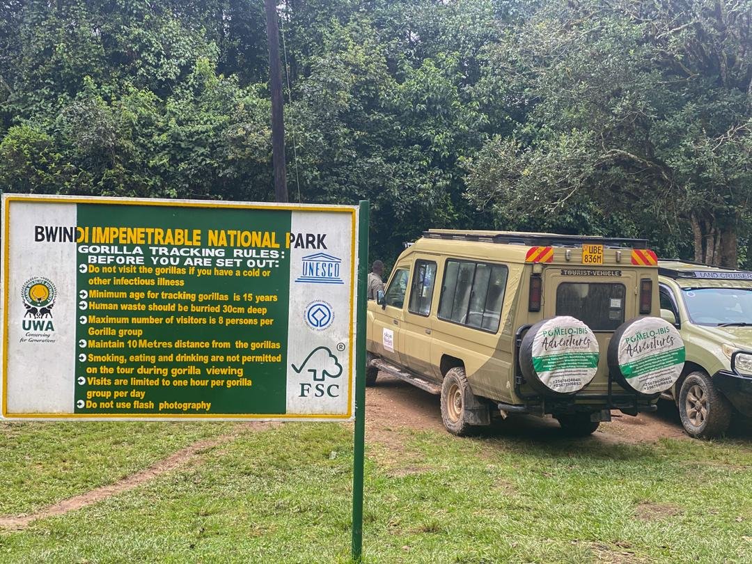 12 jours en Ouganda, exclusif de milieu de gamme, avec gorilles et safari animalier. - Transfert au parc national impénétrable de Bwindi. - Transfert au parc national impénétrable de Bwindi