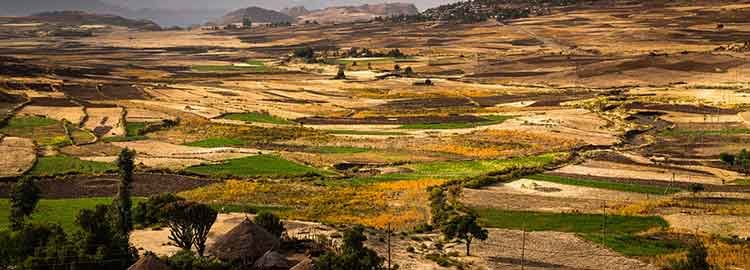 Voyage de 13 jours au cœur de l'ancien territoire des royaumes de l'Abyssinie, en Éthiopie. - Mekele - Lalibela - Mekele - Lalibela