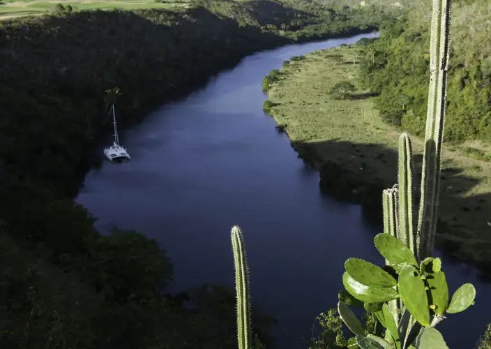 8 giorni a Bayahibe nella Repubblica Dominicana - Snorkeling all’Isola di Catalina in catamarano di lusso - Foto del giorno
