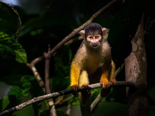Desde el lago Titicaca hasta el Parque Nacional Madidi y el espectacular Uyuni (ATC 02).