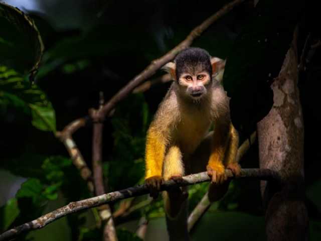 Du lac Titicaca au parc national Madidi et au spectaculaire Uyuni (ATC 02).