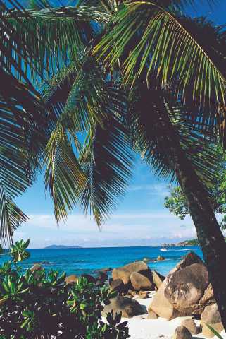 Soggiorno su 3 isole alle Seychelles.