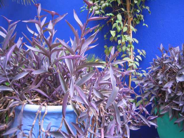 Gran tour de Marruecos en 10 días