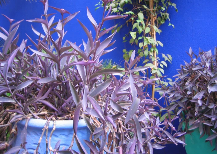 Große Marokko-Rundreise in 10 Tagen - Flug nach Marrakesch - Tagesfoto