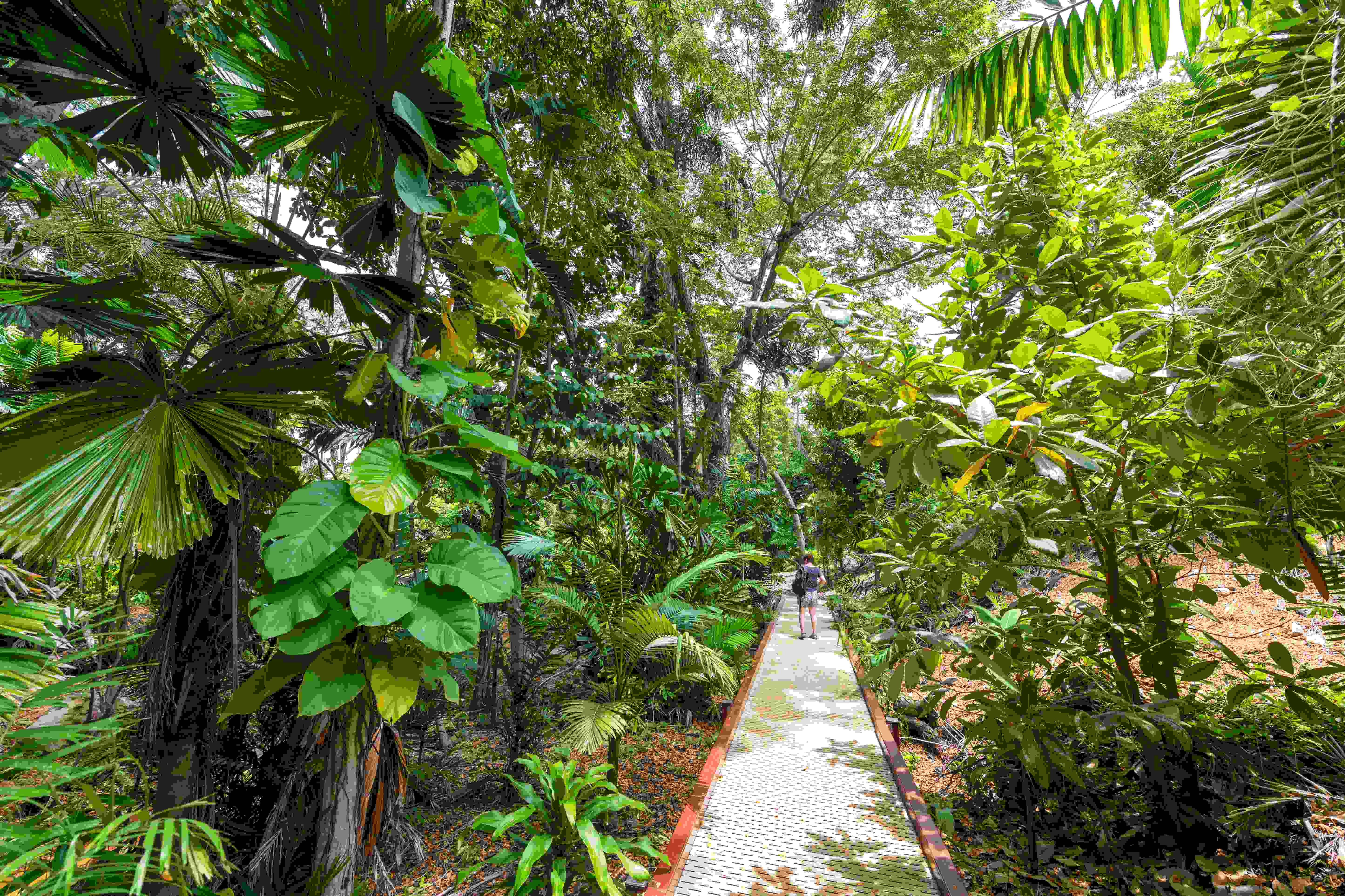 Aboriginal ervaringen - Ayers Rock - Darwin - Ayers Rock - Darwin