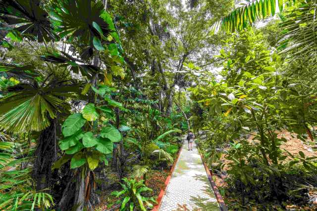 Experiencias aborígenes