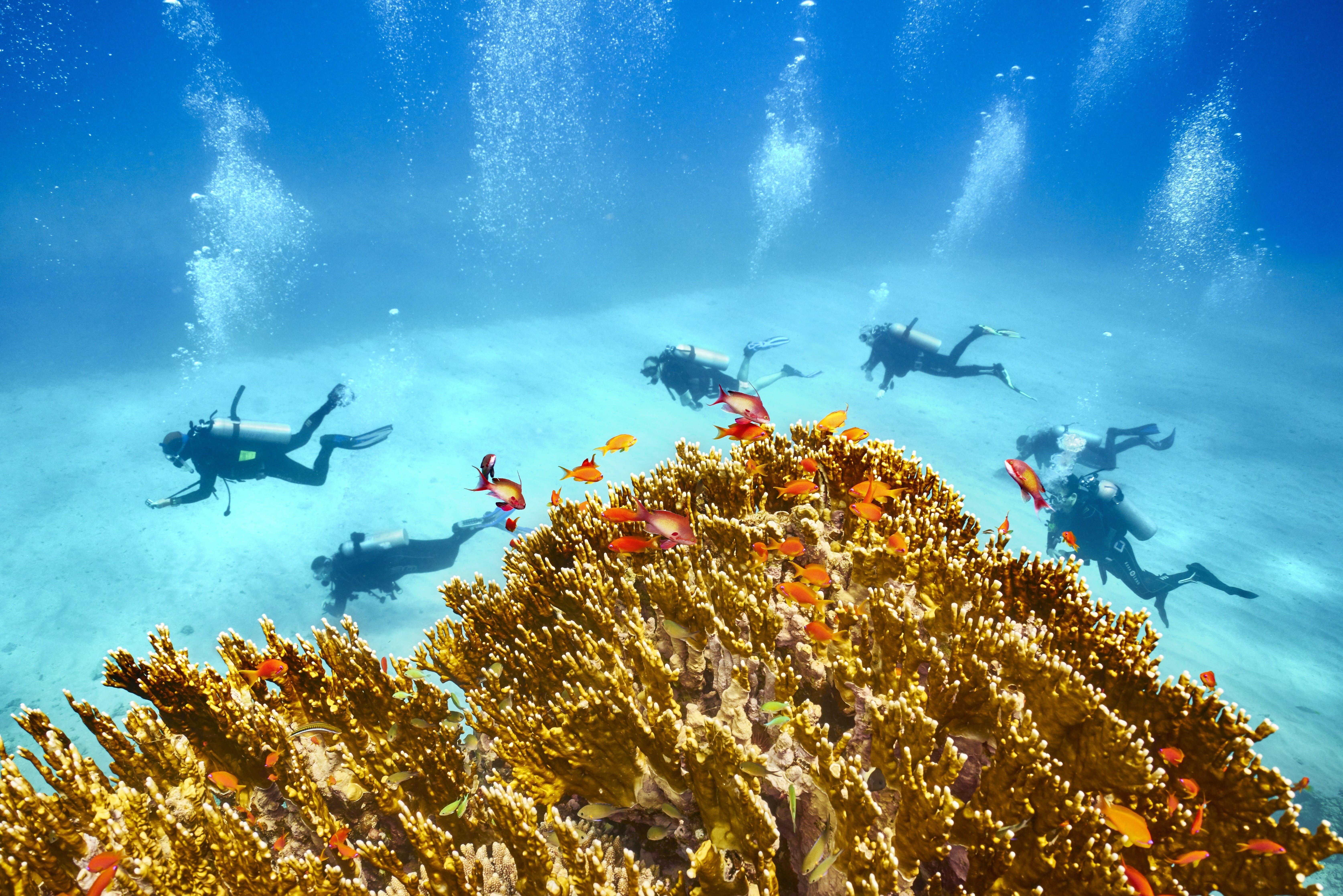 Het mooiste eiland – voor het geluk van jong en oud. - Rilling voor Papa! - Frisson pour Papa !
