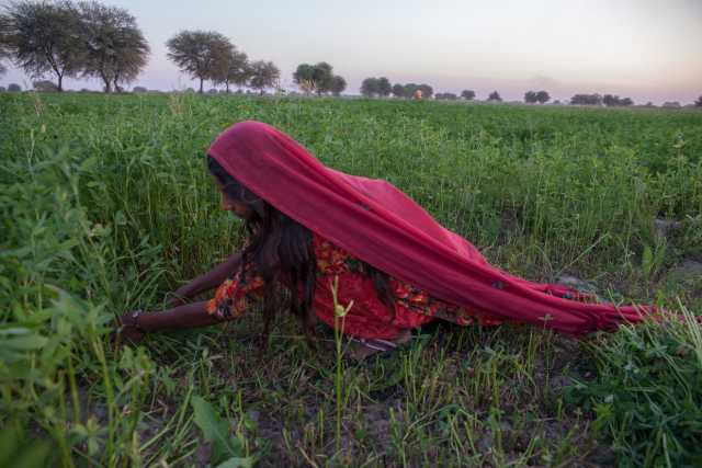 The best of trekking in the mountains of Pakistan and the cultural visit of the Hunza Valley.