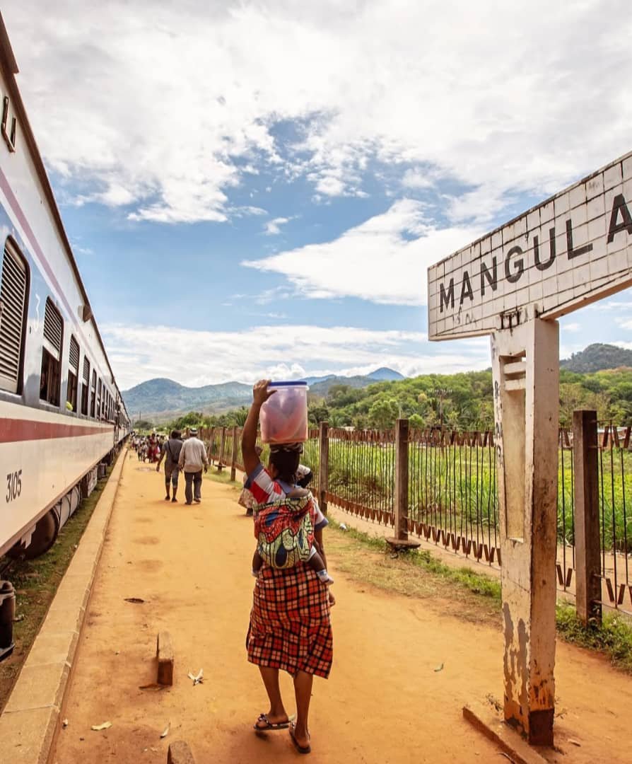 Explore the diverse landscapes and wildlife of Tanzania's hidden gems - Transfer to Udzungwa Mountains National Park - Photo of the day