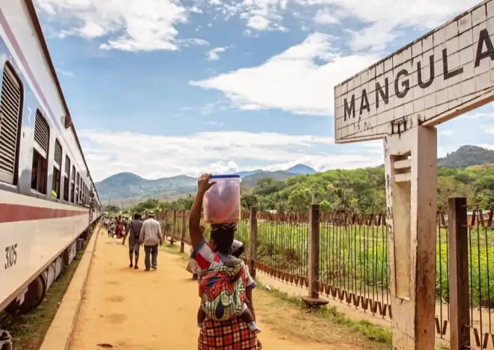 Explore the diverse landscapes and wildlife of Tanzania's hidden gems - Transfer to Udzungwa Mountains National Park - Photo of the day