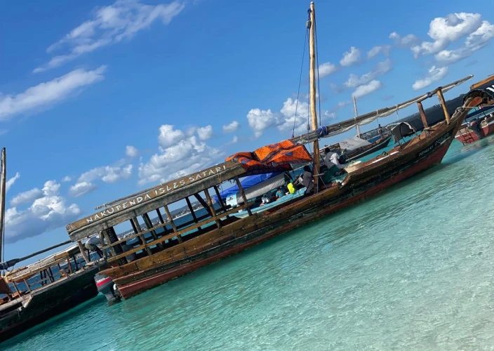 8-Day Safari & Beach Getaway in Tanzania - Full Day in Zanzibar - Photo of the day