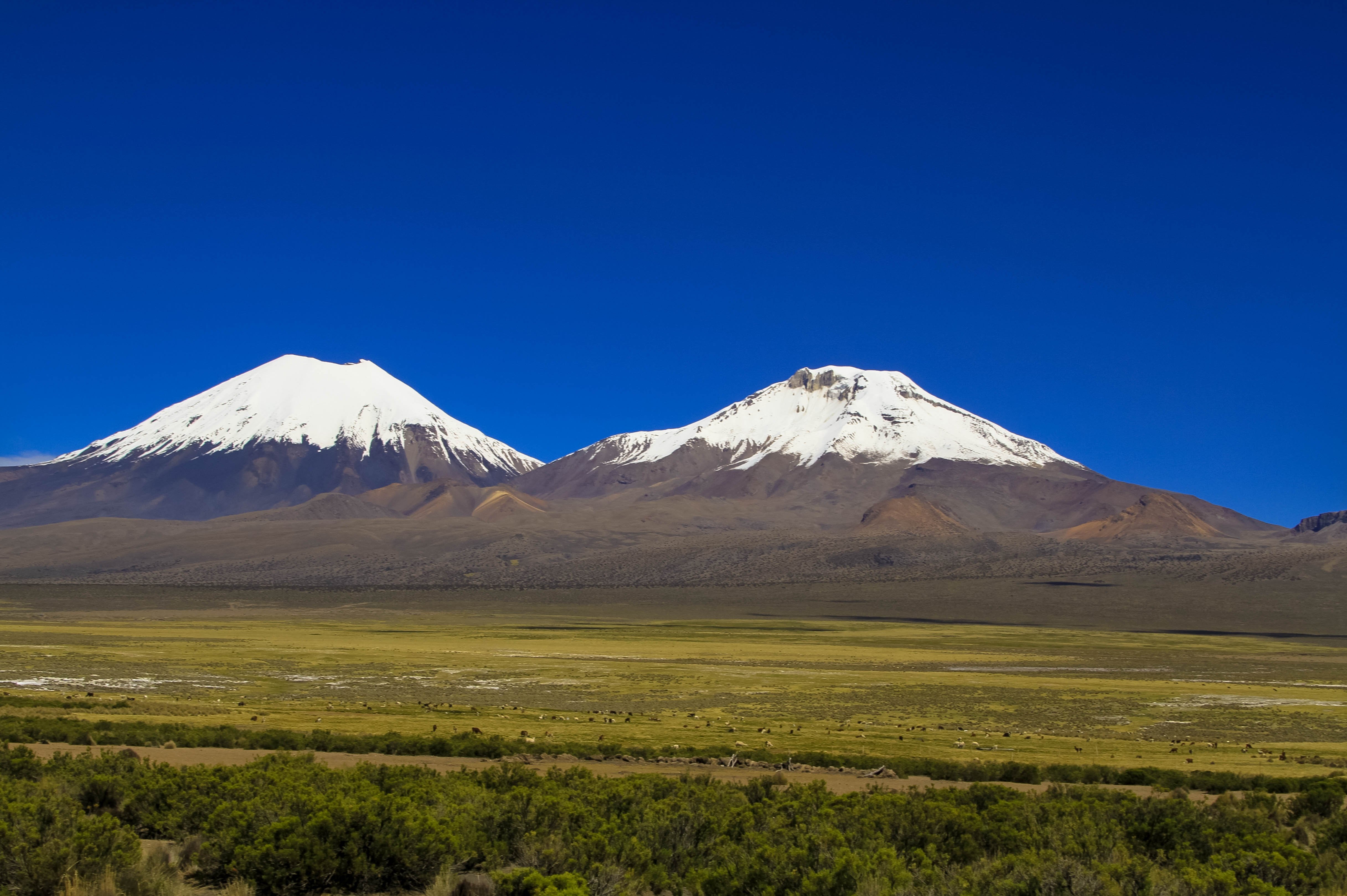 An den Grenzen des Altiplano - null - Tagesfoto