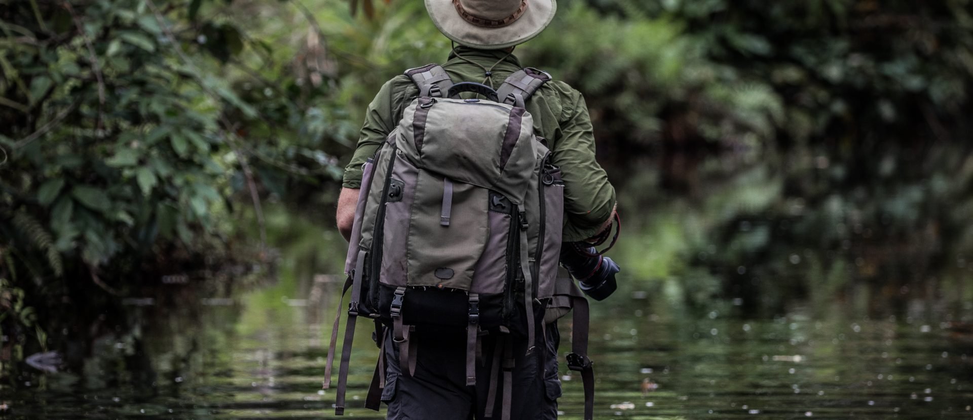 Exclusief verblijf in het hart van het nationaal park Odzala-Kokoua, juweel van Centraal-Afrika - Ngaga Lodge (Kamba) - Foto van de dag