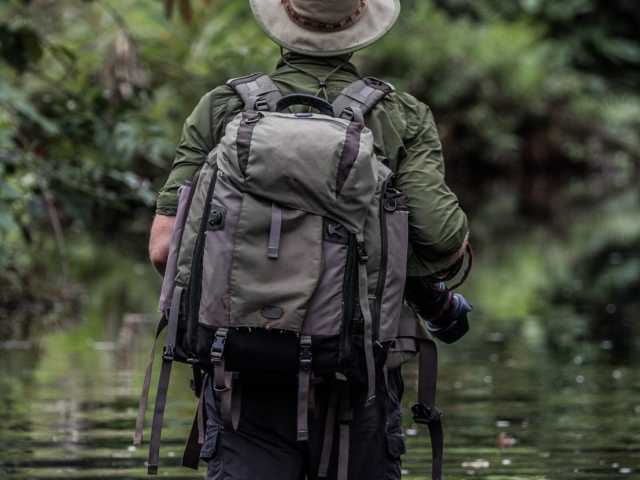 Séjour exclusif au cœur du parc national d’Odzala-Kokoua, joyau d’Afrique centrale