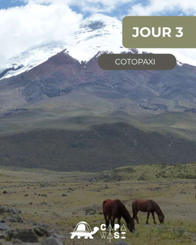 The Great Crossing of the Equator - in a small French-speaking group