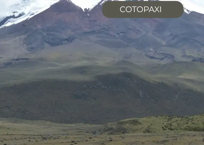 The Great Crossing of the Equator - in a small French-speaking group - FRIDAY - Cotopaxi National Park - Photo of the day