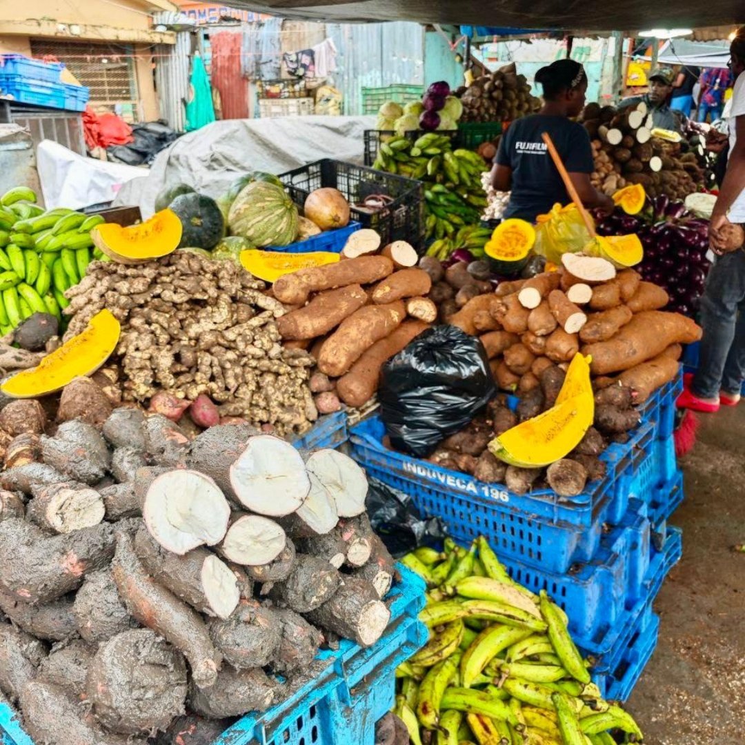 8 giorni a Bayahibe nella Repubblica Dominicana - null - Foto del giorno