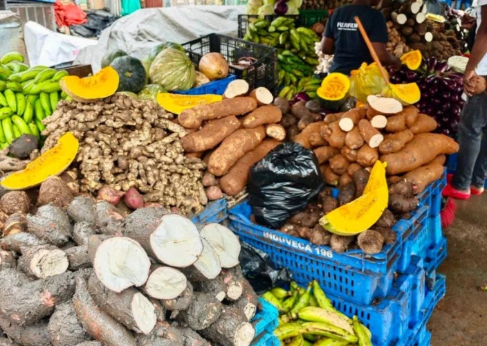 8 días en Bayahibe en la República Dominicana - null - Foto del día
