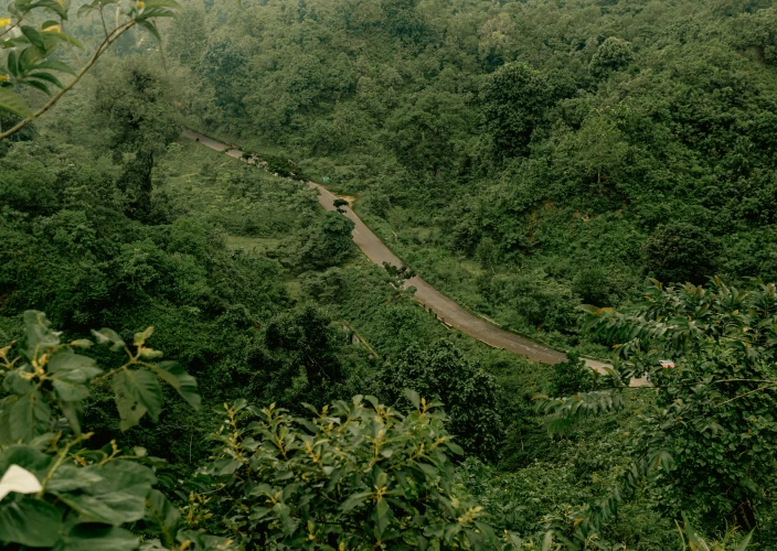 Sentier Congo-Nil de 8 jours - Faire du vélo le long du sentier Congo-Nil - Photo du jour
