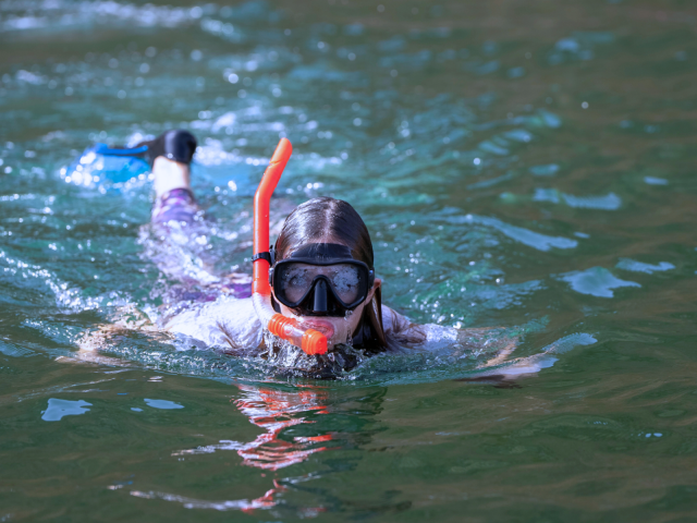 Maravilhas da Ilha Dimaniyat Tour de 6 Horas - Mergulho com Snorkel para Explorar a Vida Marinha
