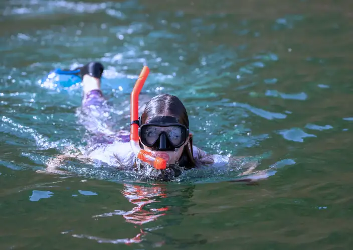 Meraviglie dell'Isola Dimaniyat Tour di 6 ore - Snorkeling per Esplorare la Vita Marina - Tour di snorkeling alle Isole Dimaniyat - 6 ore - Foto del giorno