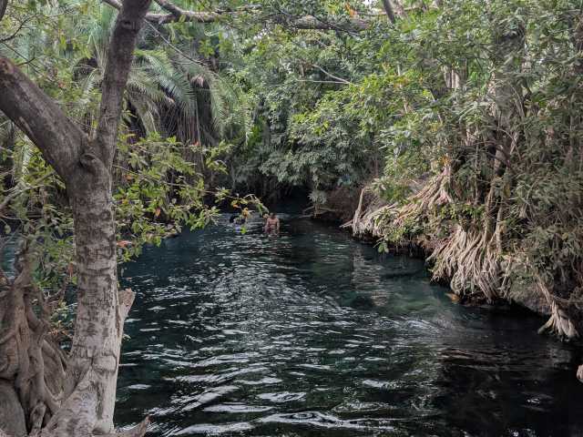 12 Dias de Safari, Estilo de Vida Local & Zanzibar Tudo Incluído