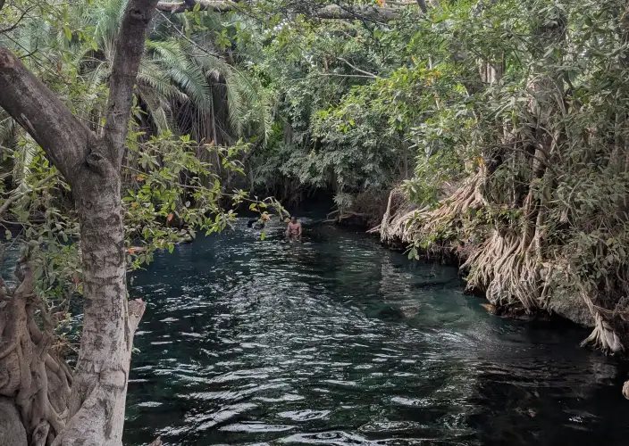 12-daagse safari, lokale levensstijl & Zanzibar all-inclusive - Materuni en Chemka Hotspring - Foto van de dag