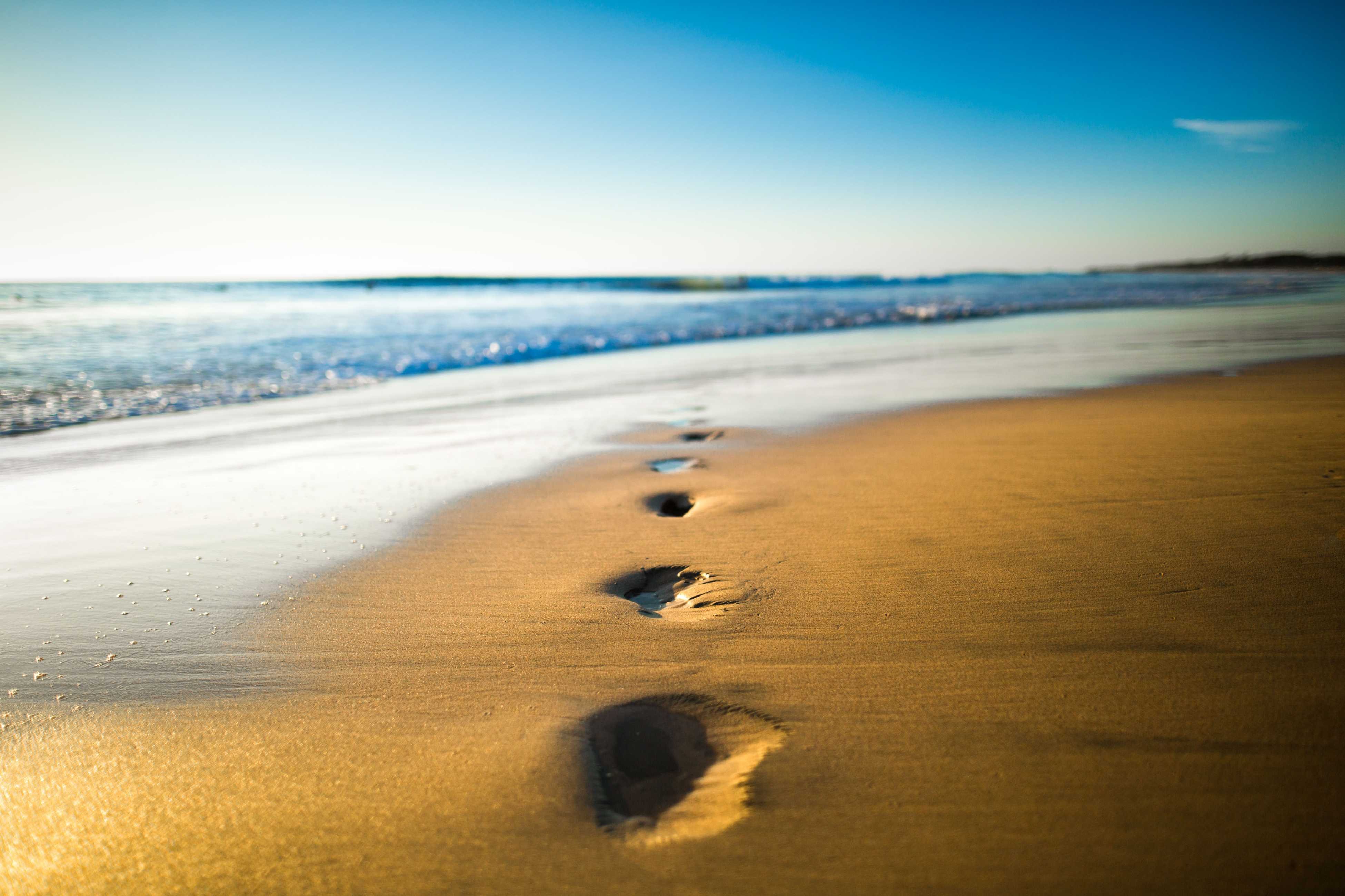 Costa Rica confidencial - San José - San José