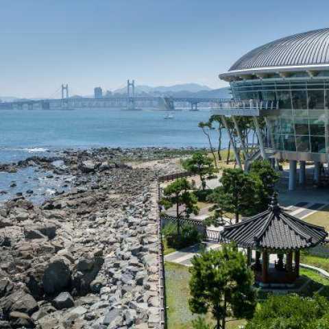 Entdeckung Südkoreas