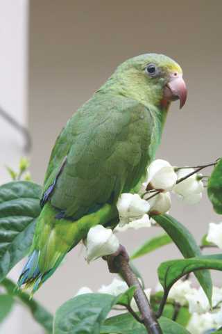 Equatorial honeymoon