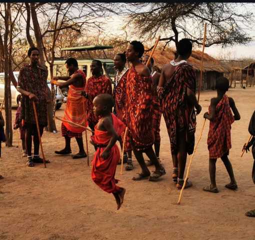 Safari à Mikumi en 2 jours — En train et par la route