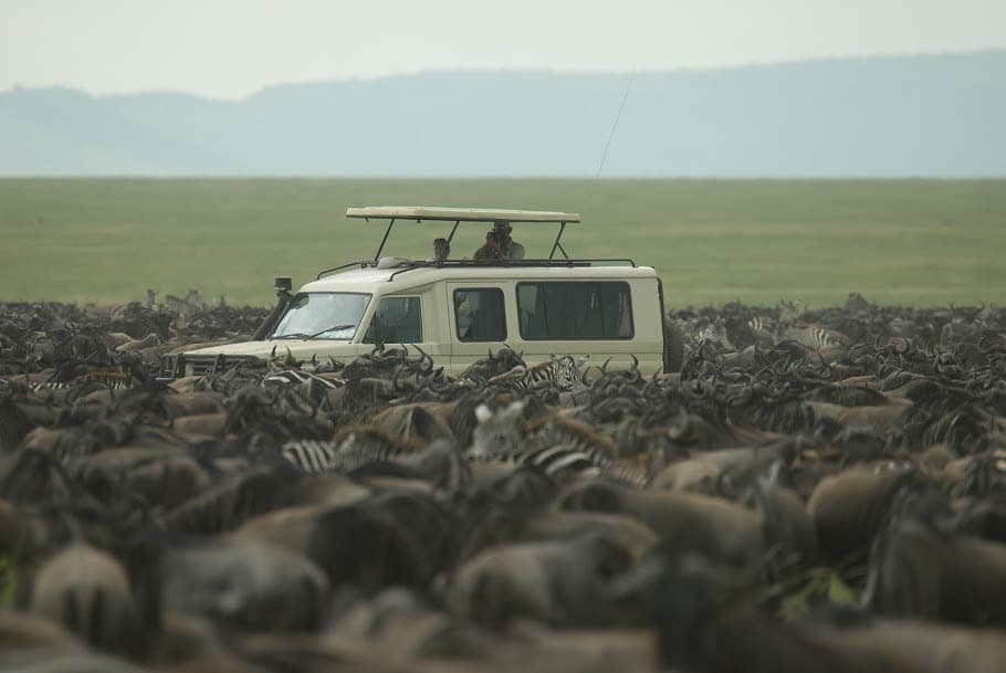 Tanzanie : safari privé et Zanzibar - Marche sur les bords du cratère du Ngorongoro, puis safari au Serengeti. - Marche sur les bords du cratère du Ngorongoro, ensuite safari au Serengeti