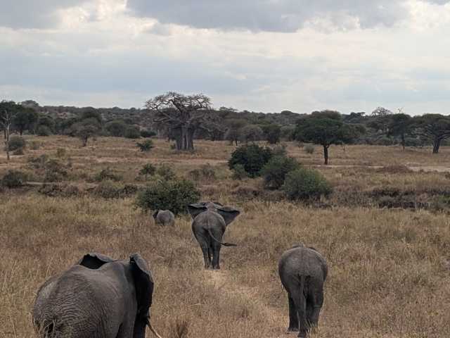 12 Dias de Safari, Estilo de Vida Local & Zanzibar Tudo Incluído