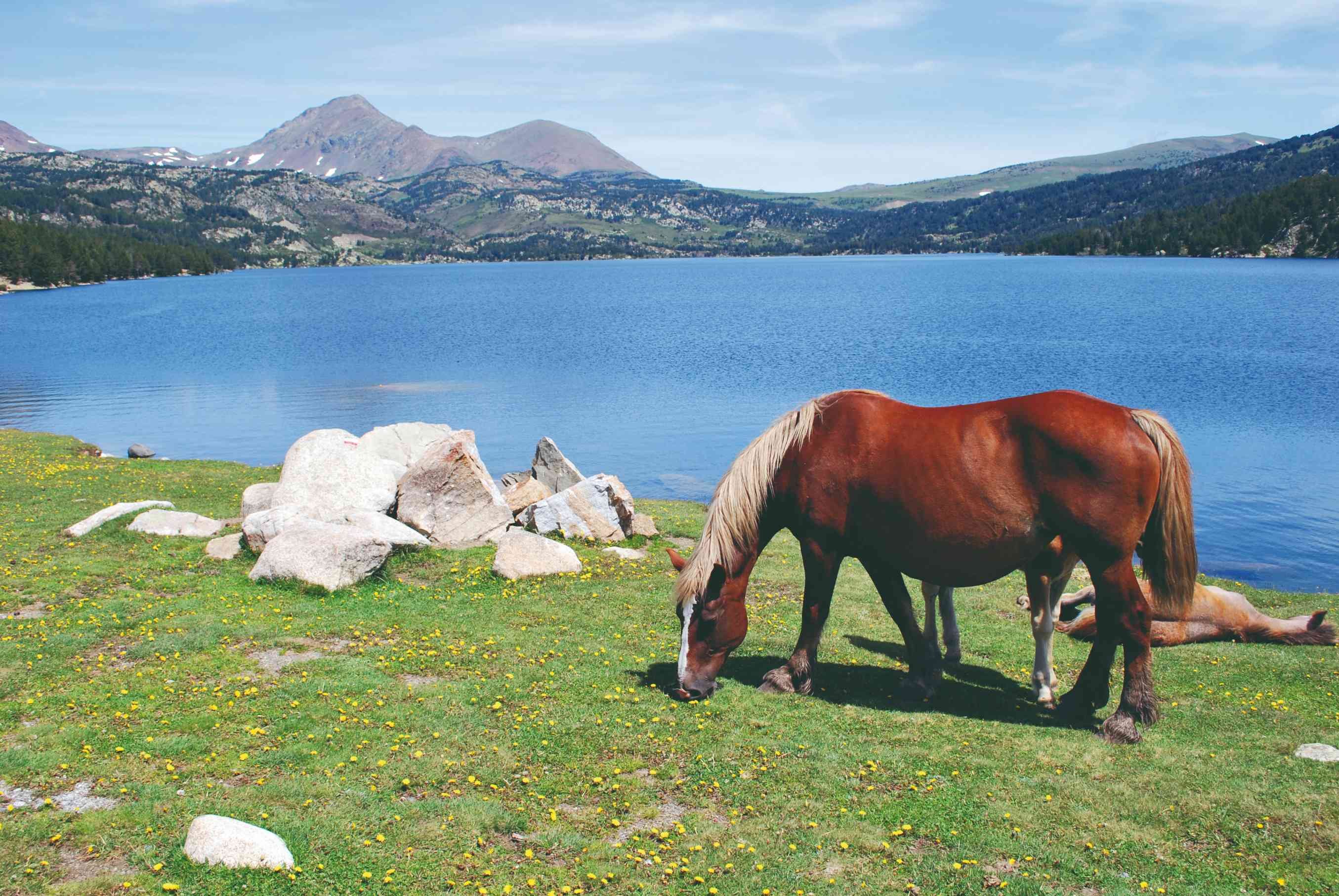 Cerdagne y Capcir, paraíso de los lagos y del sol. - Lago de las Bouillouses - Monte Llaret (2 376 m) - Lac des Bouillouses - Mont Llaret (2376 m)
