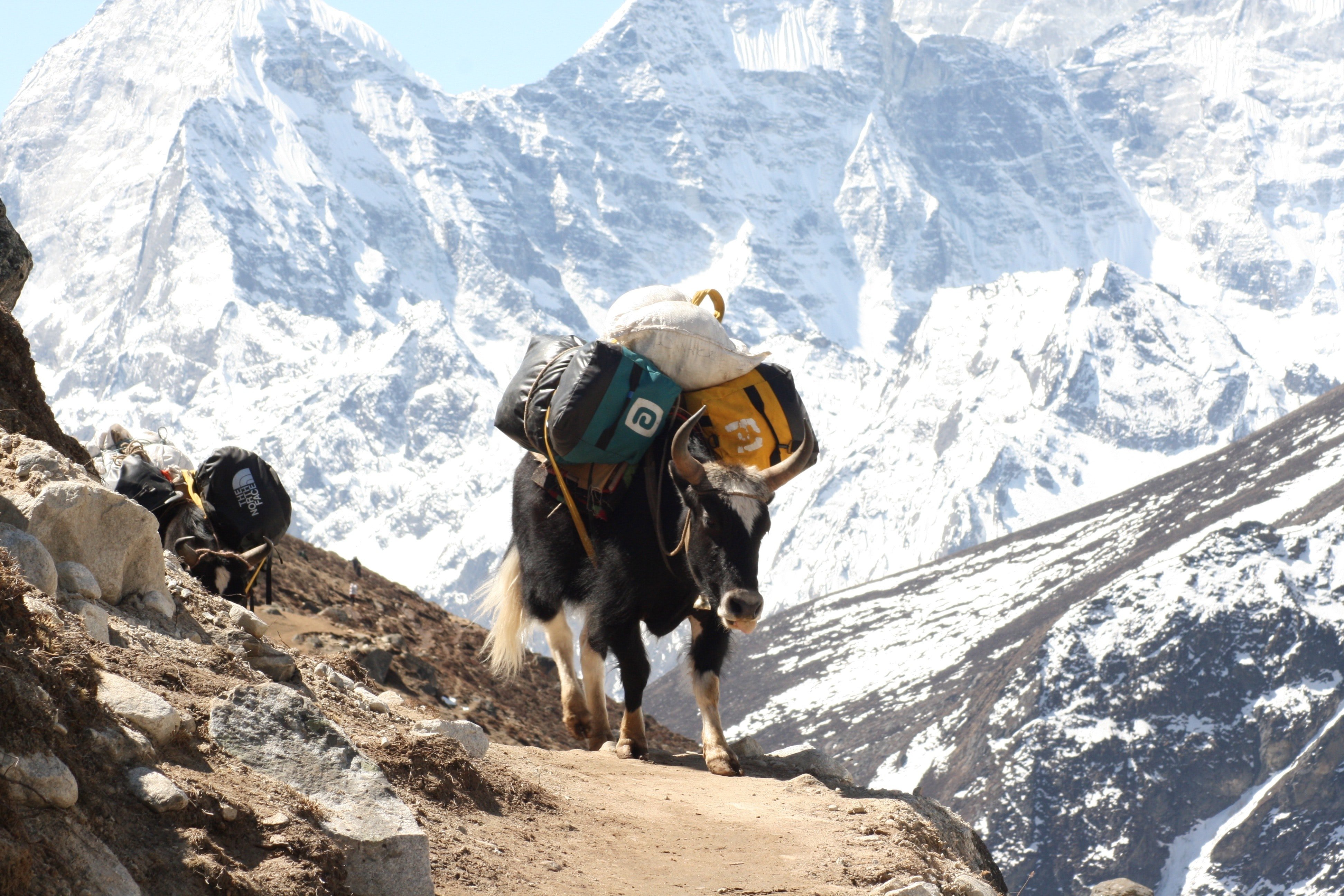 Everest Base Camp Trek - 14 dagen - Dag 5: Namche naar Tengboche (3860 m - 12 660 ft) Wandelafstand: 10 tot 11 km, Duur: 5 uur. - Jour 5 : Namche à Tengboche (3860m-12660ft) Distance de marche - 10 à 11 km, Durée : 5 heures