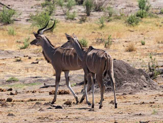 La esencia de Namibia