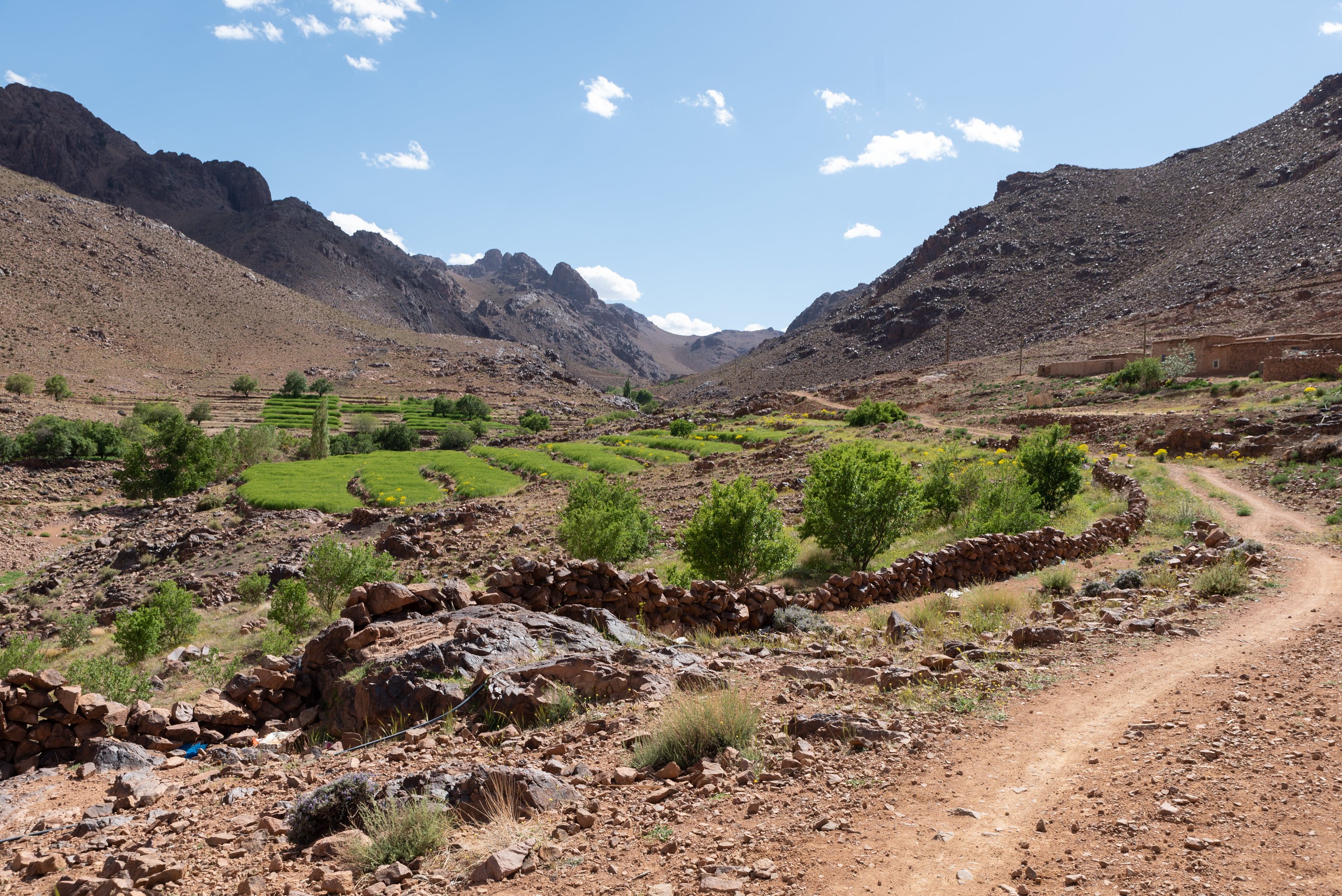 6-day trek in the heart of Jebel Saghro - Hike through the assif Tawdachet, night at the guesthouse in Tifrt - Photo of the day