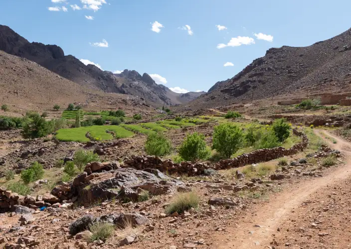 6-day trek in the heart of Jebel Saghro - Hike through the assif Tawdachet, night at the guesthouse in Tifrt - Photo of the day