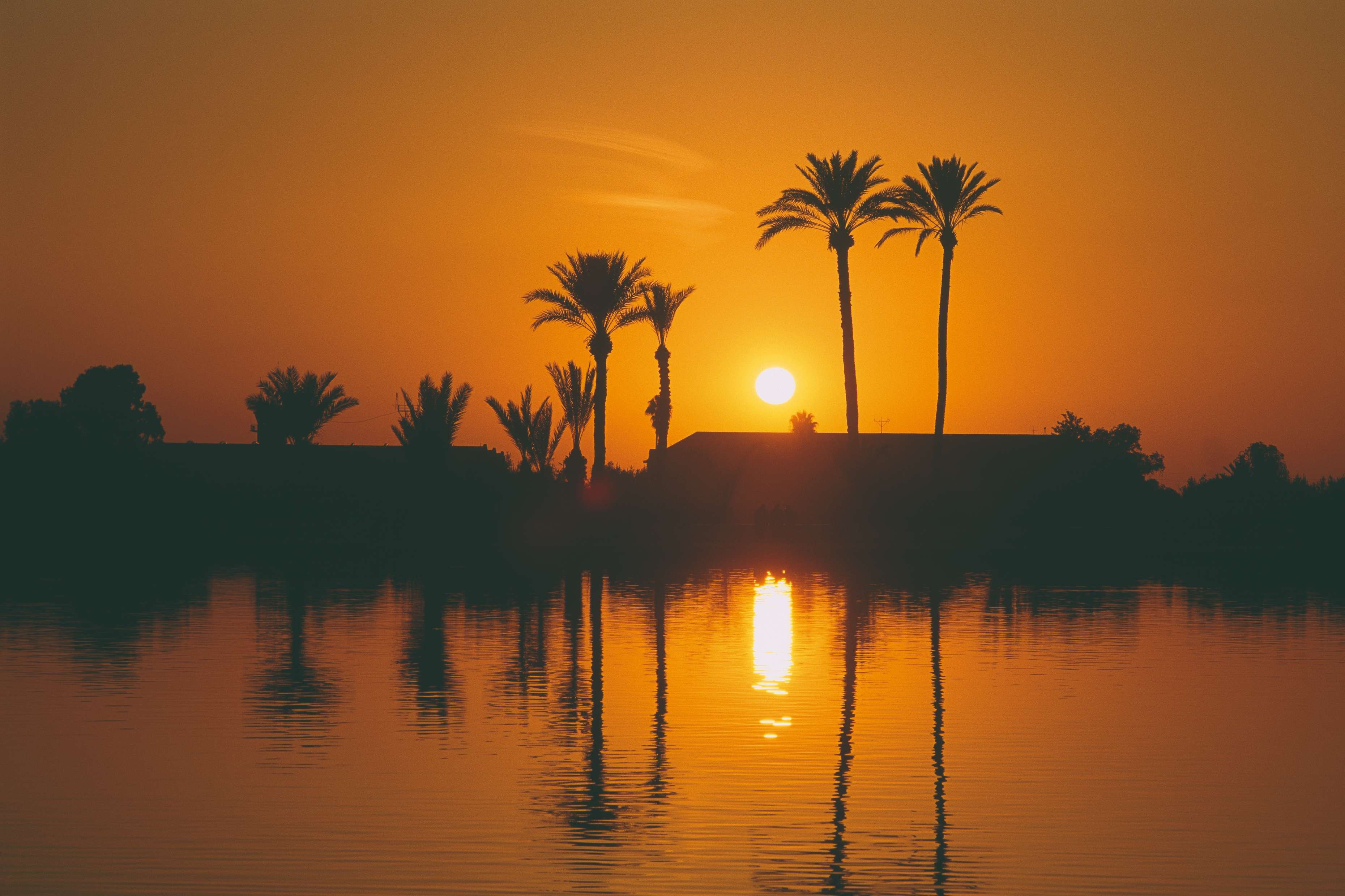 Road trip en toute liberté - Marrakech - Marrakech